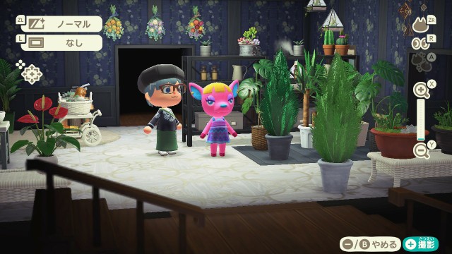 f:id:marumarm:20200531132535j:plain f:id:marumarm:20200531132535j:plain