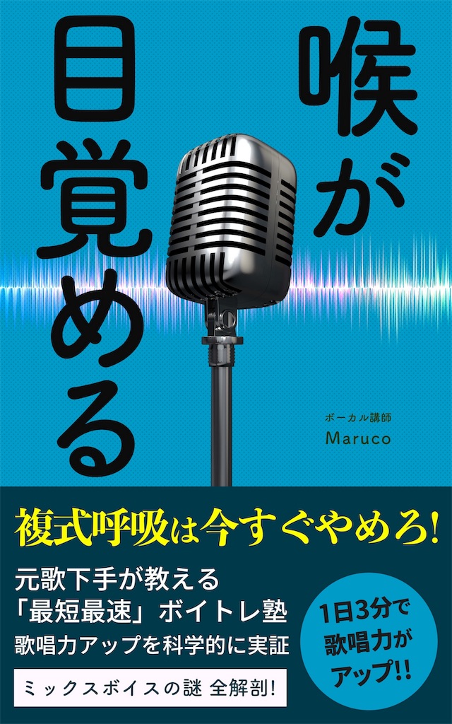 f:id:marumaru1D:20191212212936j:image