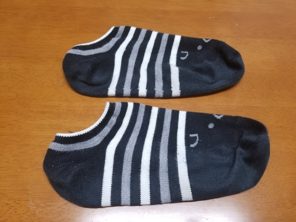 f:id:marumarudai:20190203192525j:plain f:id:marumarudai:20190203192525j:plain