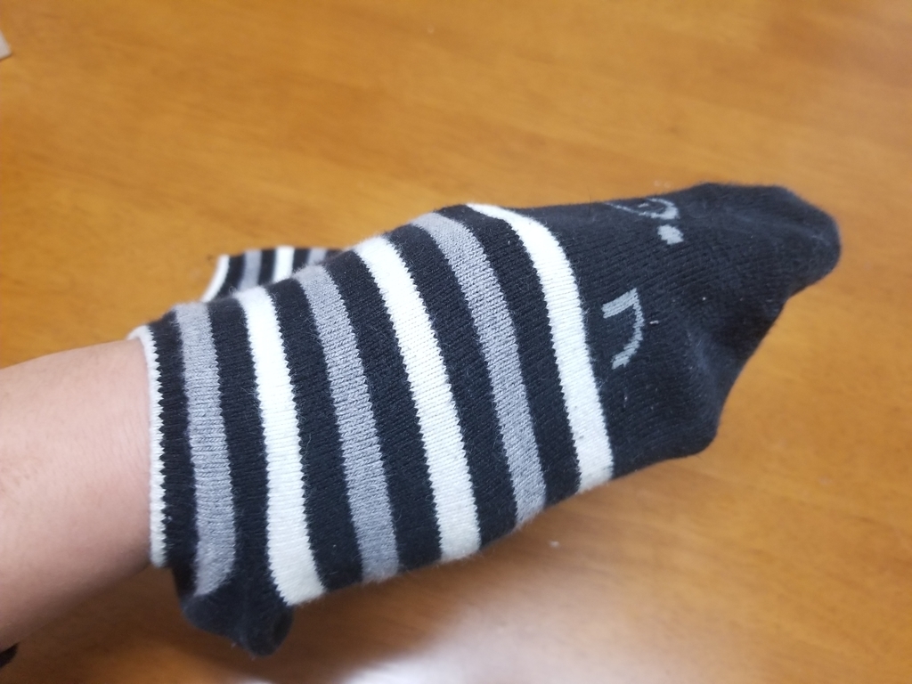 f:id:marumarudai:20190203194456j:plain f:id:marumarudai:20190203194456j:plain