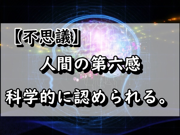 f:id:marumarudai:20190320185117j:plain f:id:marumarudai:20190320185117j:plain