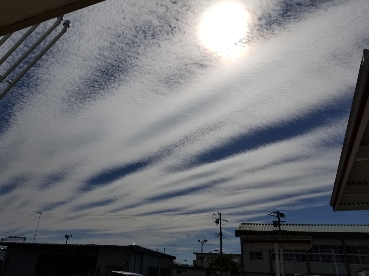 f:id:marumarudai:20190602194019j:plain f:id:marumarudai:20190602194019j:plain