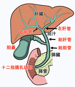 f:id:marumarudai:20200123065318p:plain f:id:marumarudai:20200123065318p:plain