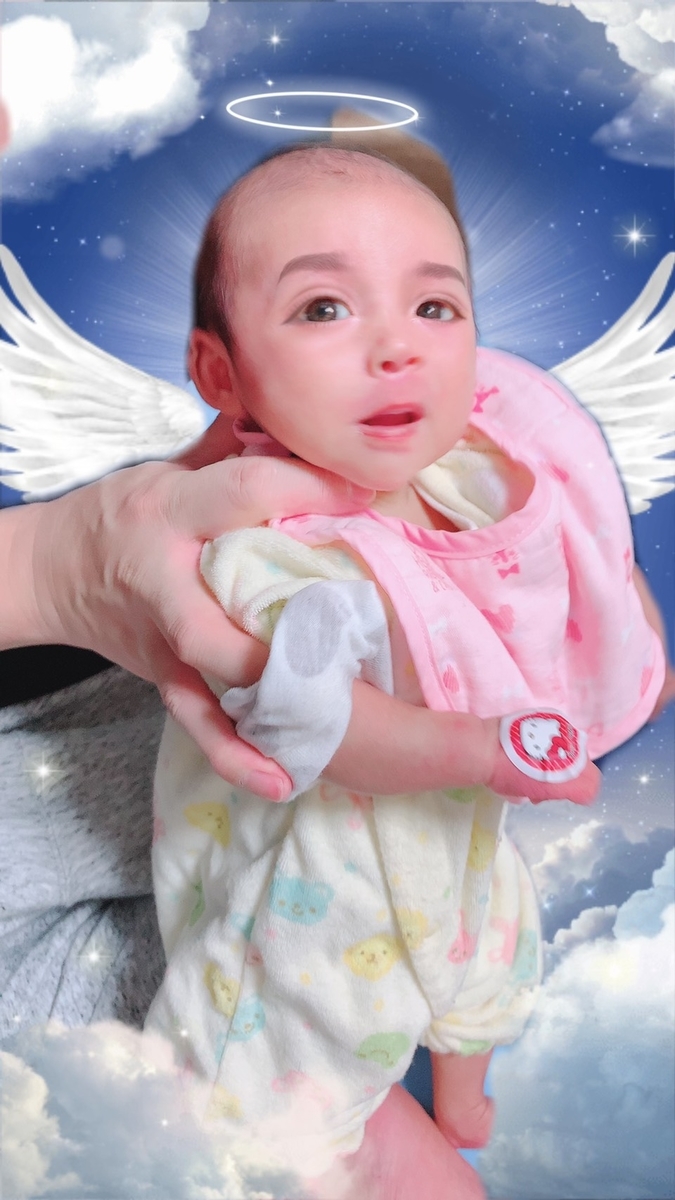 f:id:marumarudai:20200128061951j:plain f:id:marumarudai:20200128061951j:plain