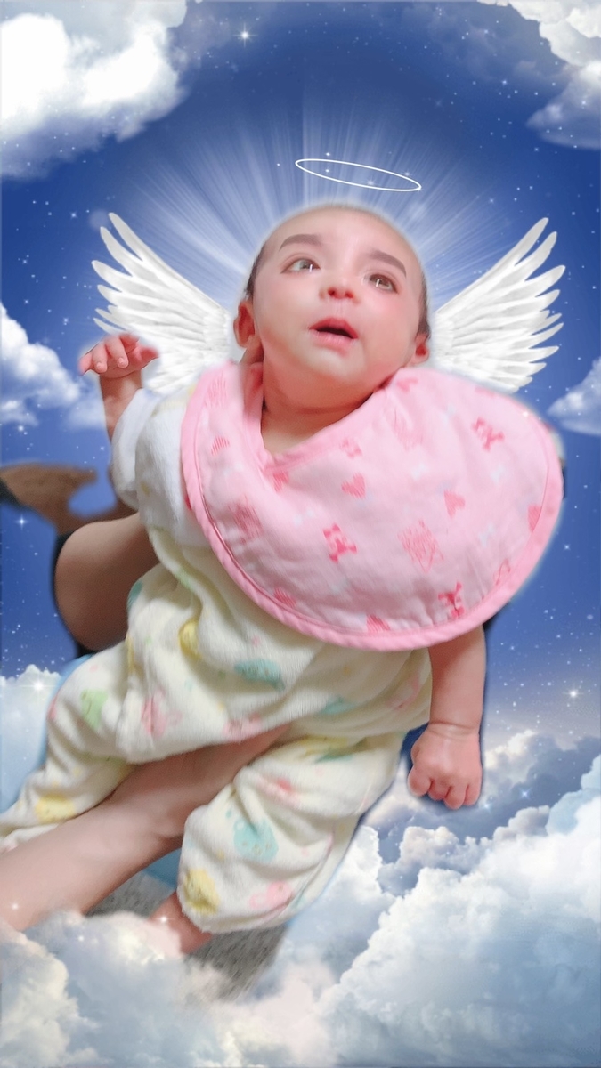 f:id:marumarudai:20200128062006j:plain f:id:marumarudai:20200128062006j:plain