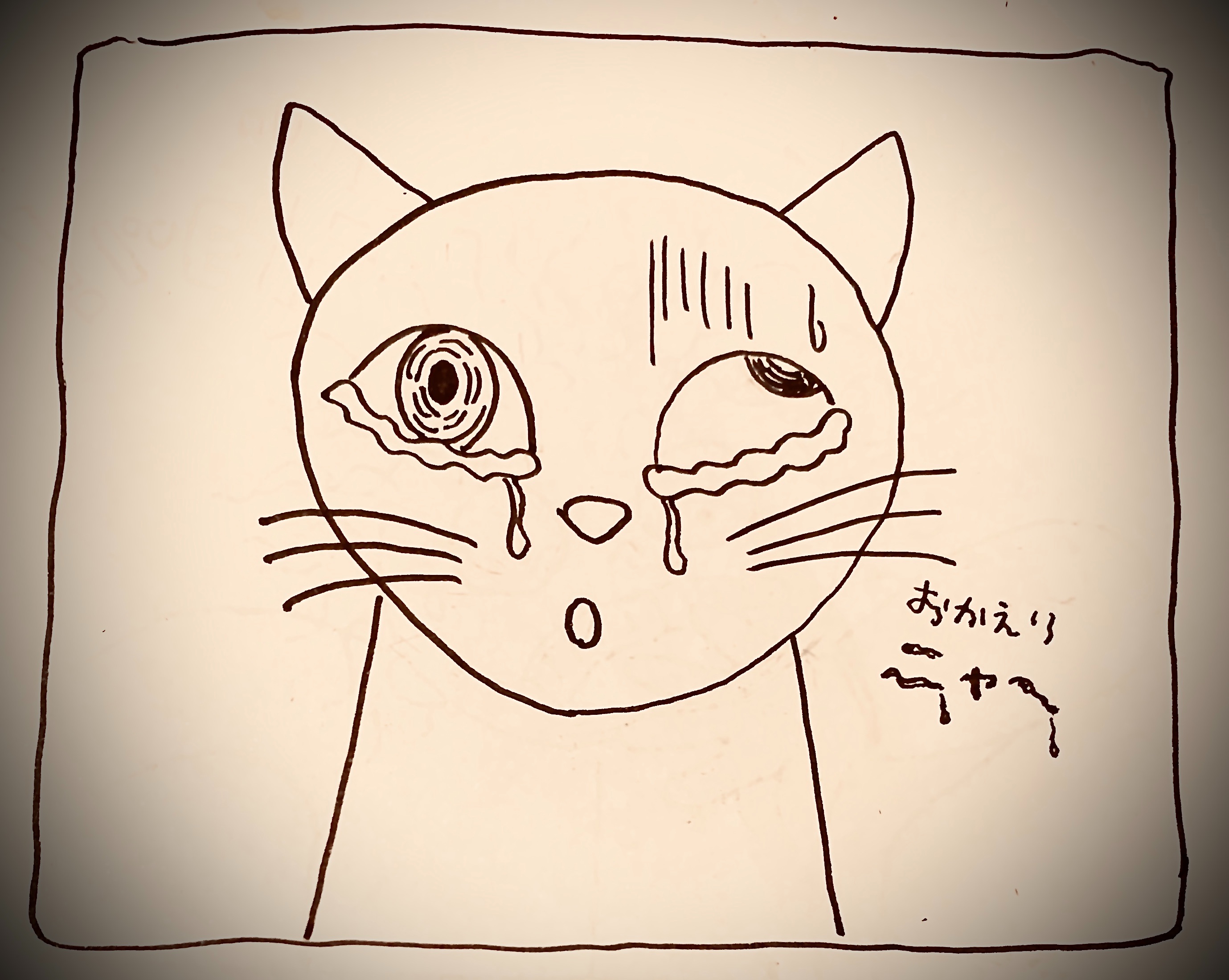 具合が悪かったのに ホラーかと思ってビビっちゃってごめんよ 猫の目の仕組みを知らなかった まるまるの宝箱