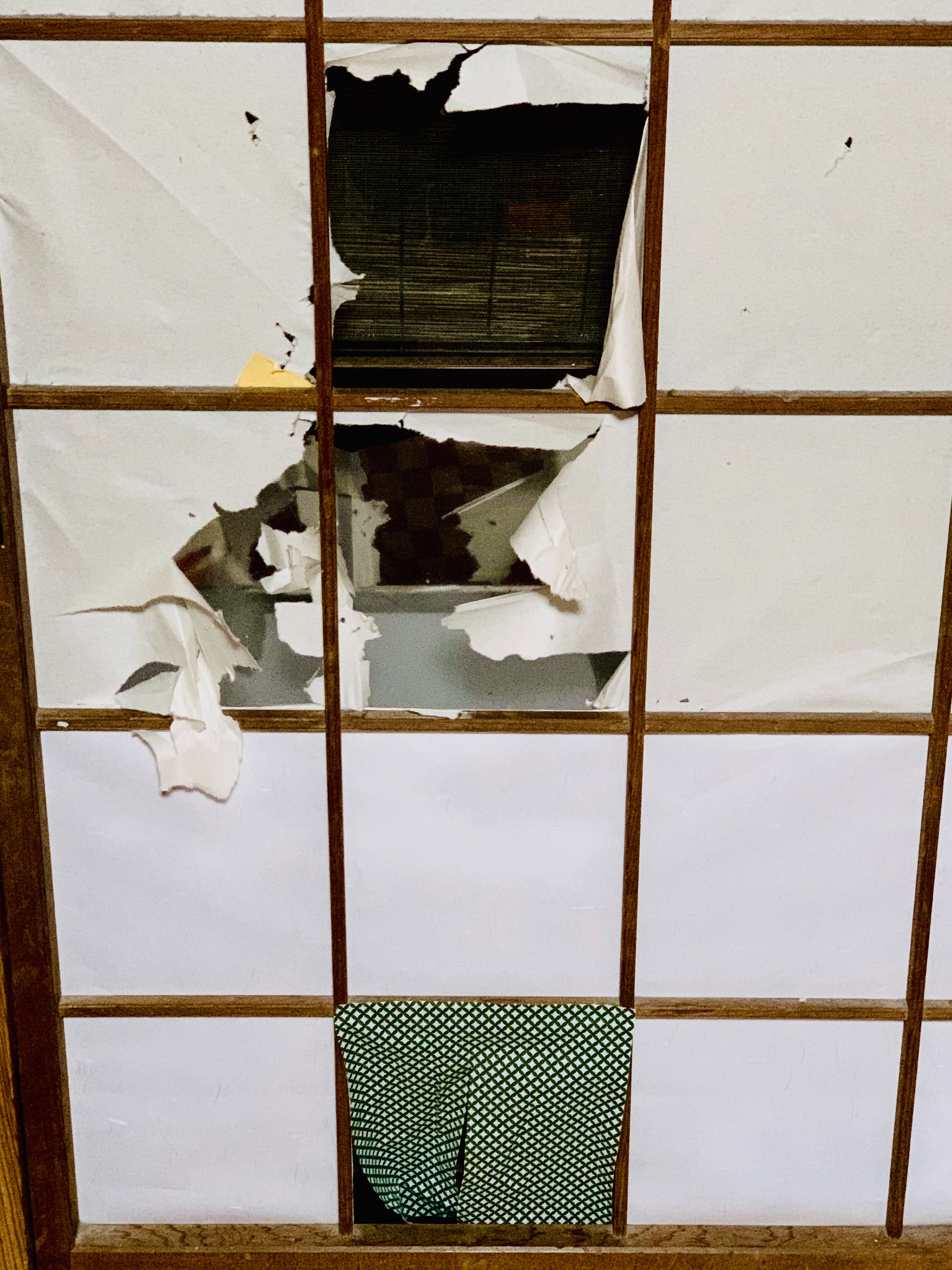 f:id:marumaruko-kishin:20191231221317j:image