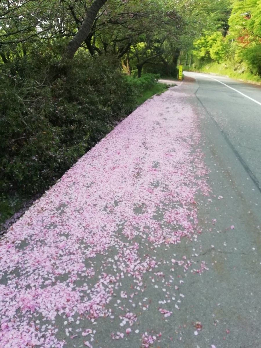 f:id:marumaruofuton:20190423163545j:plain f:id:marumaruofuton:20190423163545j:plain