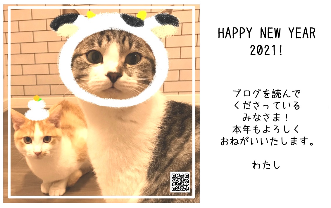 年賀状離れとは 社会の人気 最新記事を集めました はてな 年賀状離れとは 社会の人気 最新記事を集めました はてな