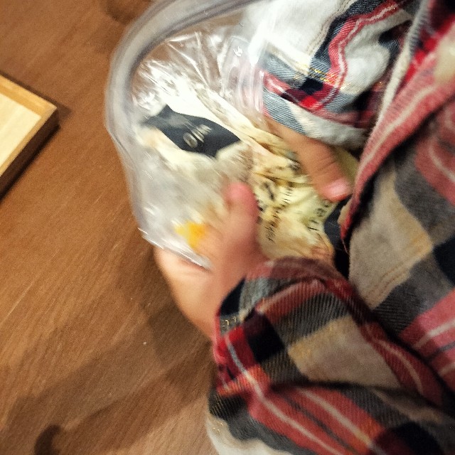 f:id:marumarutowatashi06:20241213152329j:image