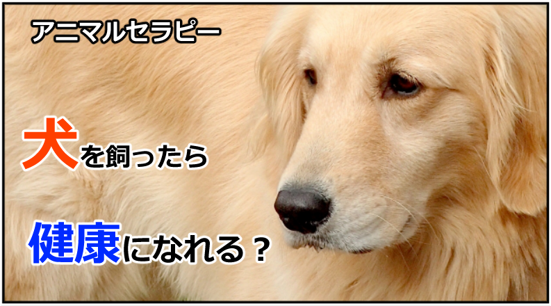 f:id:marumenm18:20191107120022p:plain f:id:marumenm18:20191107120022p:plain