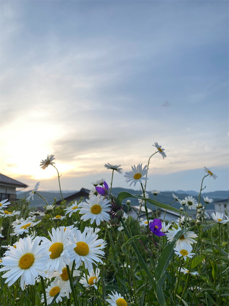 f:id:marumiinekoneko:20260506135407j:image f:id:marumiinekoneko:20260506135407j:image