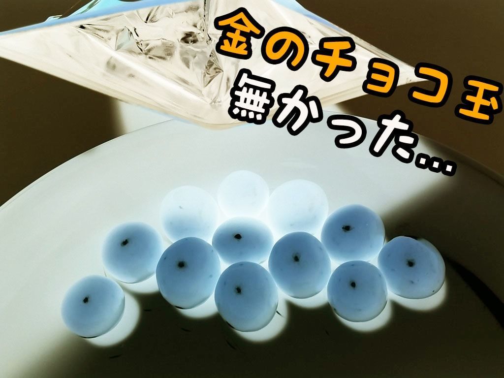 f:id:marumohu:20190214023551j:plain