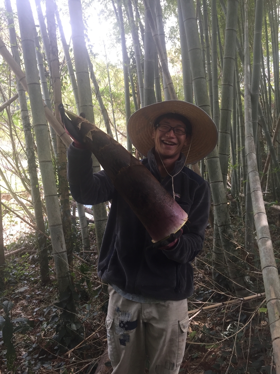 f:id:marumonomkitee:20190418230747j:plain f:id:marumonomkitee:20190418230747j:plain