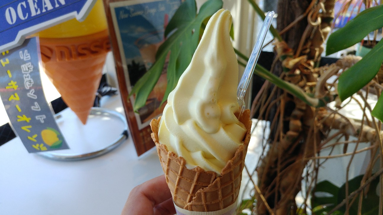 f:id:maruniku:20180827224842j:image f:id:maruniku:20180827224842j:image