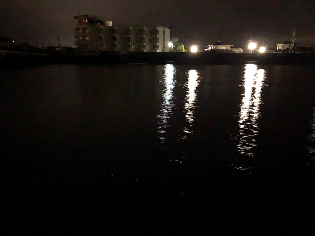 5月16日 南白亀川 マルの釣り日記
