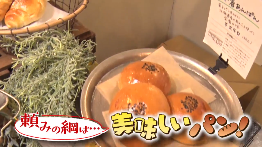 f:id:marunomiya:20210501181823p:plain