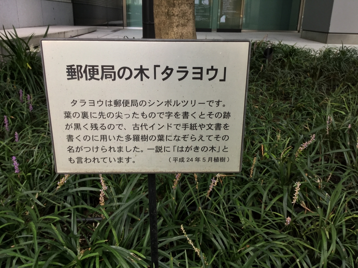 丸の内 Kitte東京中央郵便局の1階に植えてある たらよう は 郵便局の木 丸の内を愛する会