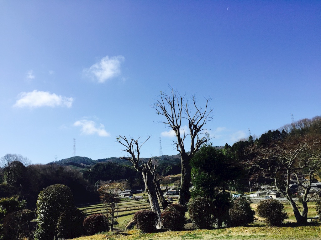 f:id:maruok-y:20160510080948j:image f:id:maruok-y:20160510080948j:image