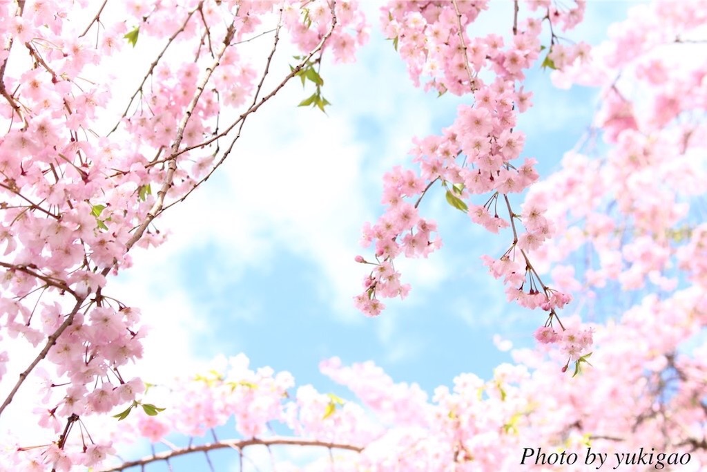 f:id:maruok-y:20170420150441j:plain