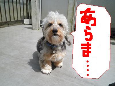 f:id:maruosan523:20191225214021j:plain