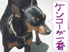 f:id:maruosan523:20191226062655j:plain