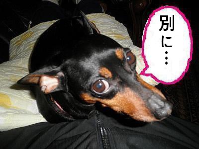 f:id:maruosan523:20200212162441j:plain f:id:maruosan523:20200212162441j:plain
