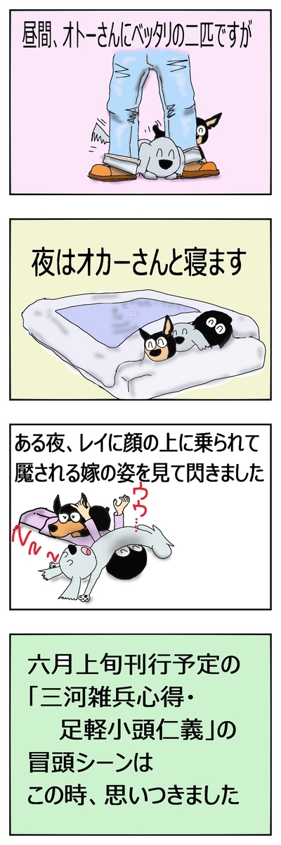 三河雑兵心得３ 足軽小頭仁義について 最新記事へ