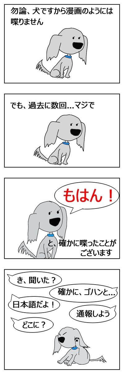 f:id:maruosan523:20210127190352j:plain