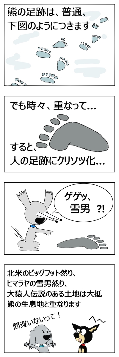 f:id:maruosan523:20210204235303j:plain