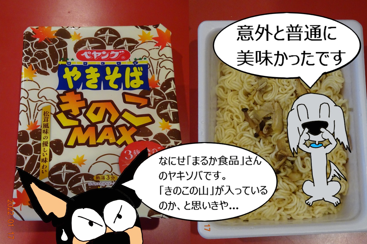 f:id:maruosan523:20220122095142j:plain