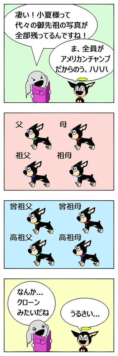f:id:maruosan523:20220320230441j:plain