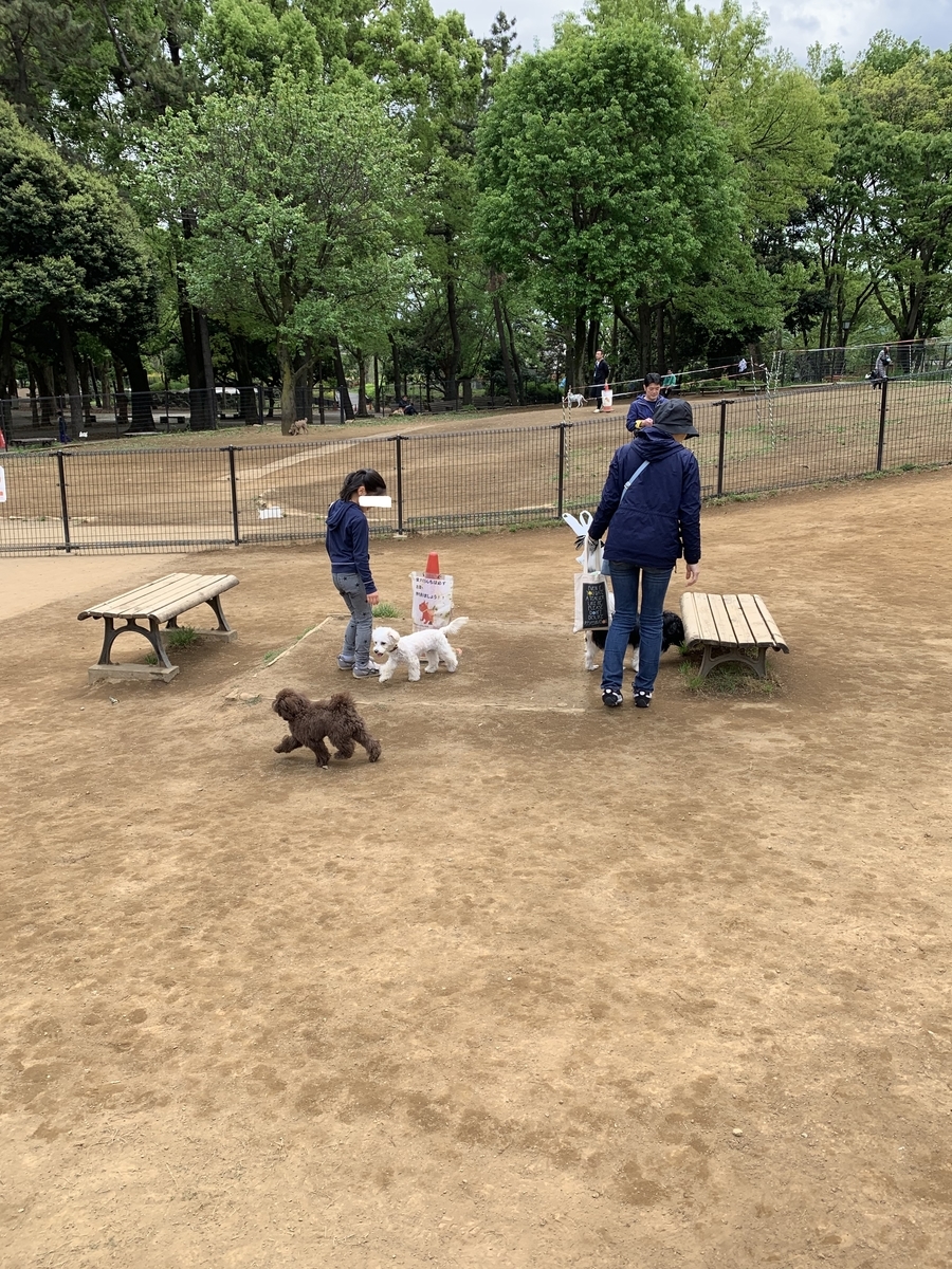 f:id:marupu_RIO:20190610191310j:plain f:id:marupu_RIO:20190610191310j:plain