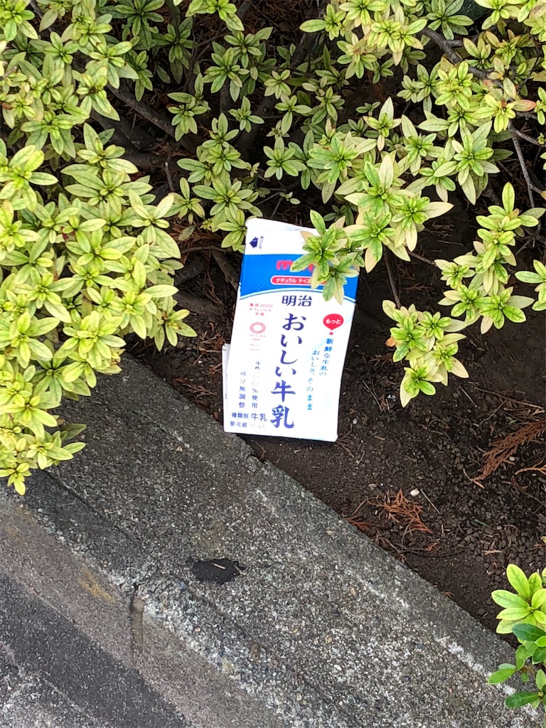 f:id:marurinmaru:20180825224017j:image