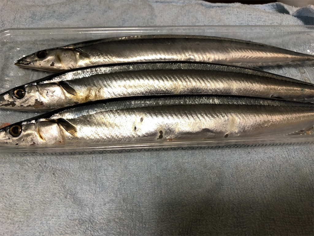 f:id:marurinmaru:20180930192617j:image