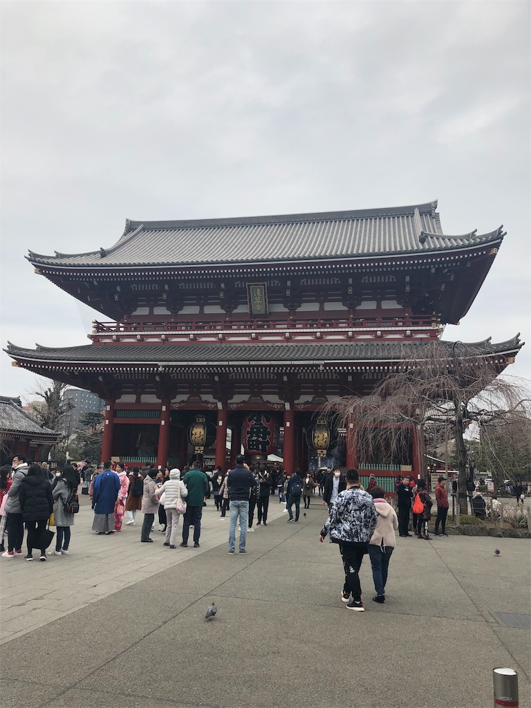 f:id:marurinmaru:20190227161510j:image