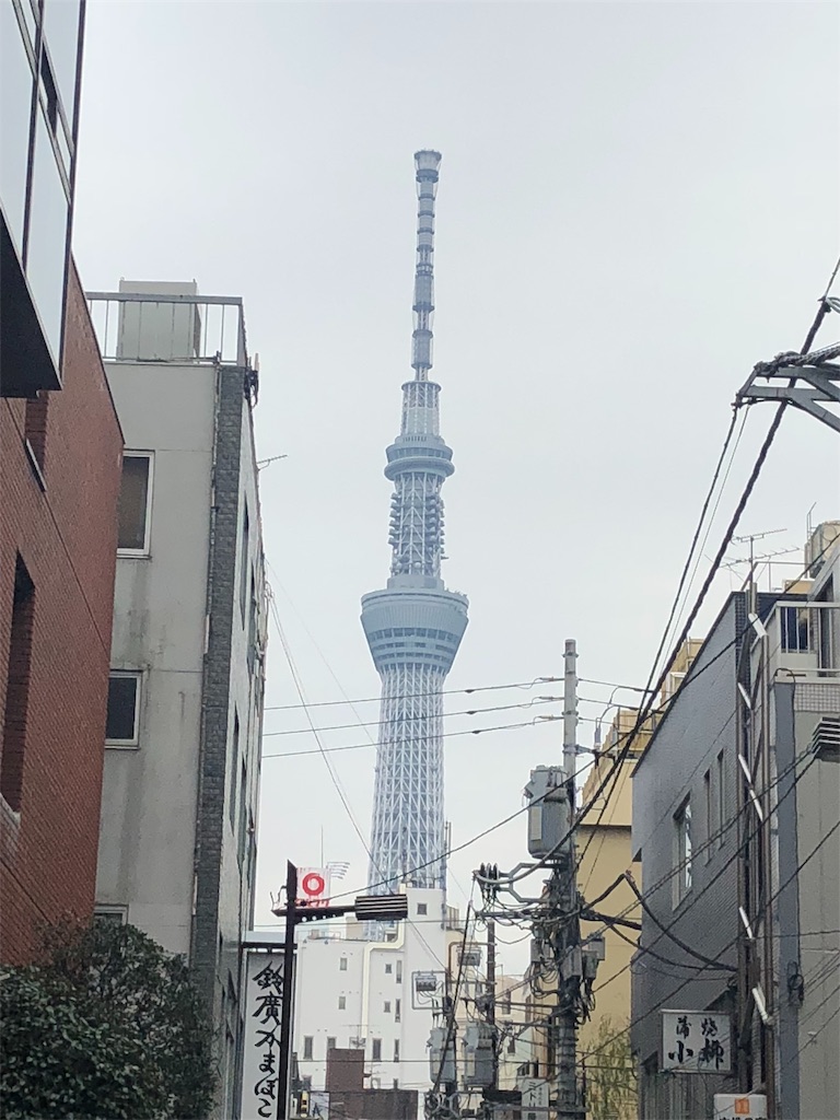 f:id:marurinmaru:20190227161521j:image