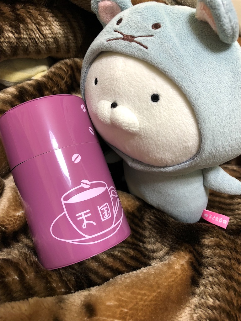 f:id:marurinmaru:20190228224513j:image