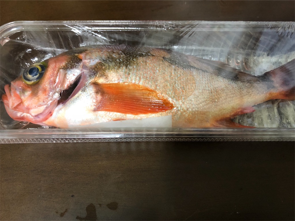 メバルの煮付け と アボカドまぐろ で呑む 簡単レシピ付き うたかたラジオ