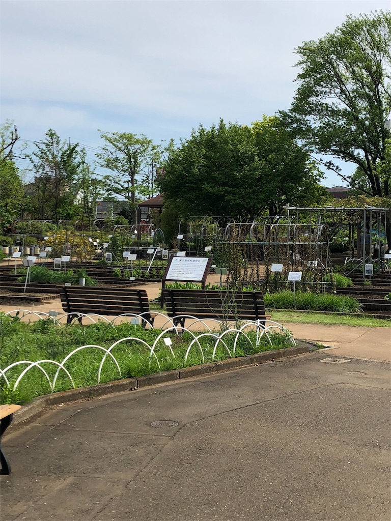 f:id:marurinmaru:20190612065701j:image