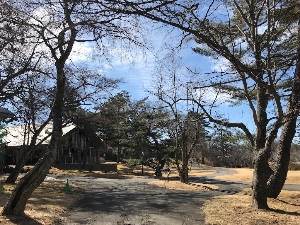 f:id:marurungogo:20191231162406j:image f:id:marurungogo:20191231162406j:image