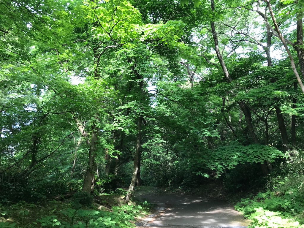 f:id:marurungogo:20191231213747j:image f:id:marurungogo:20191231213747j:image