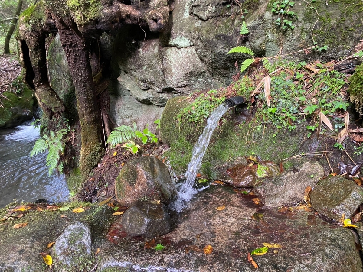 水が出ている箇所