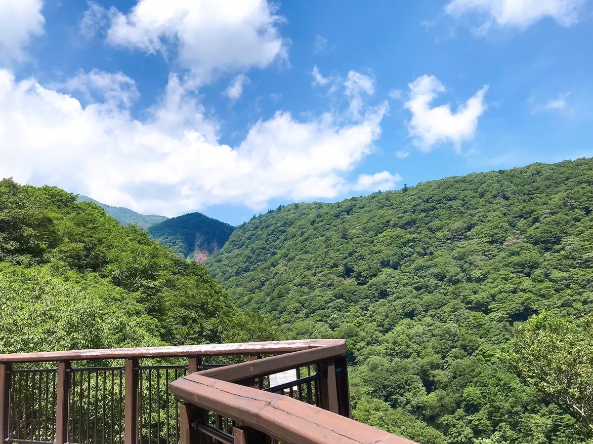 駐車場から眺める森林と山
