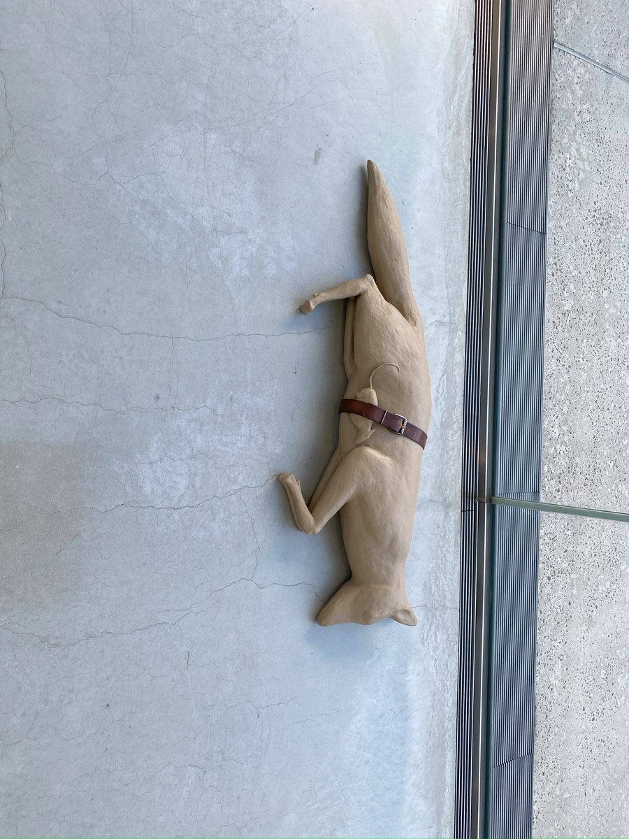 寝転ぶ犬の作品