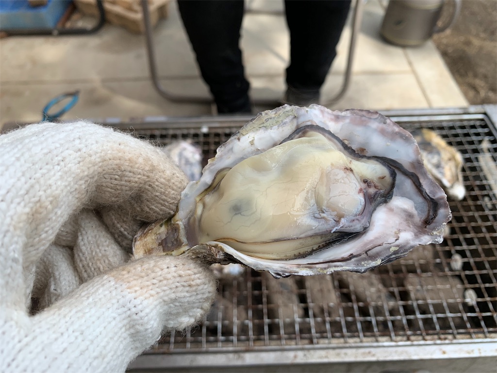 f:id:marusan1:20190312152316j:image f:id:marusan1:20190312152316j:image