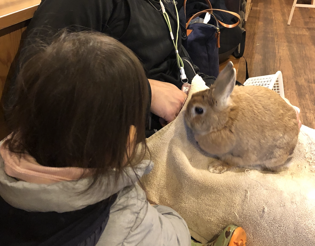 f:id:marussi:20191231230147p:plain