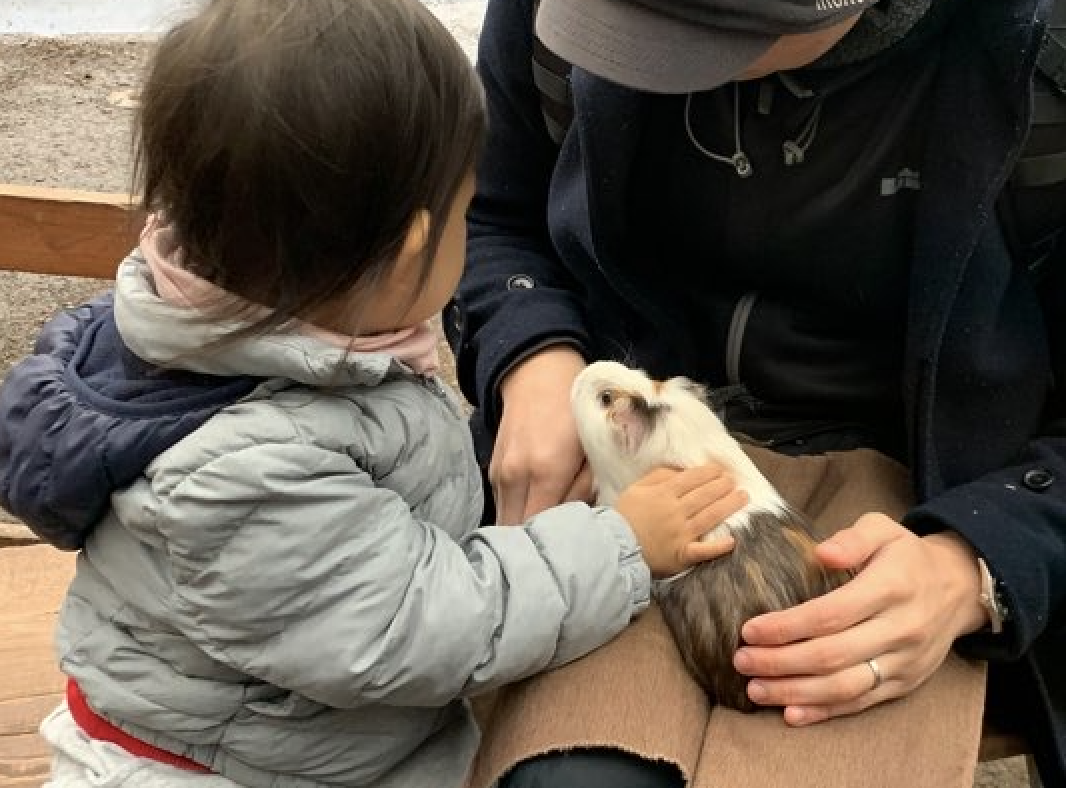 f:id:marussi:20191231230206p:plain