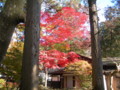 角館　武家屋敷　紅葉