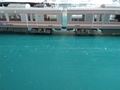 鉄コレ　南海2300系　N化